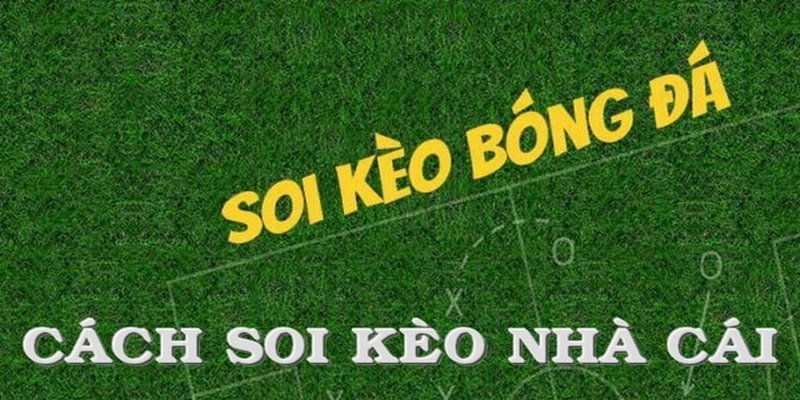 Soi kèo bóng đá các loại tỷ lệ cược nào?